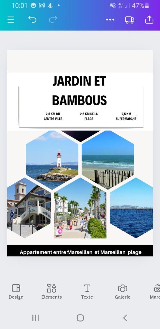 Jardin Et Bambous, Studio Cosy, Classe 2 Etoiles Marseillan  Bagian luar foto