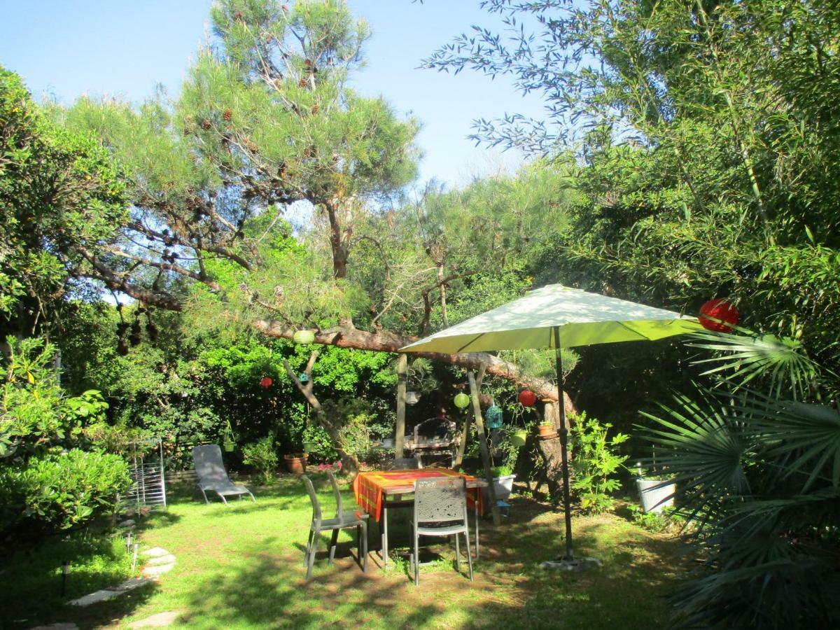 Jardin Et Bambous, Studio Cosy, Classe 2 Etoiles Marseillan  Bagian luar foto
