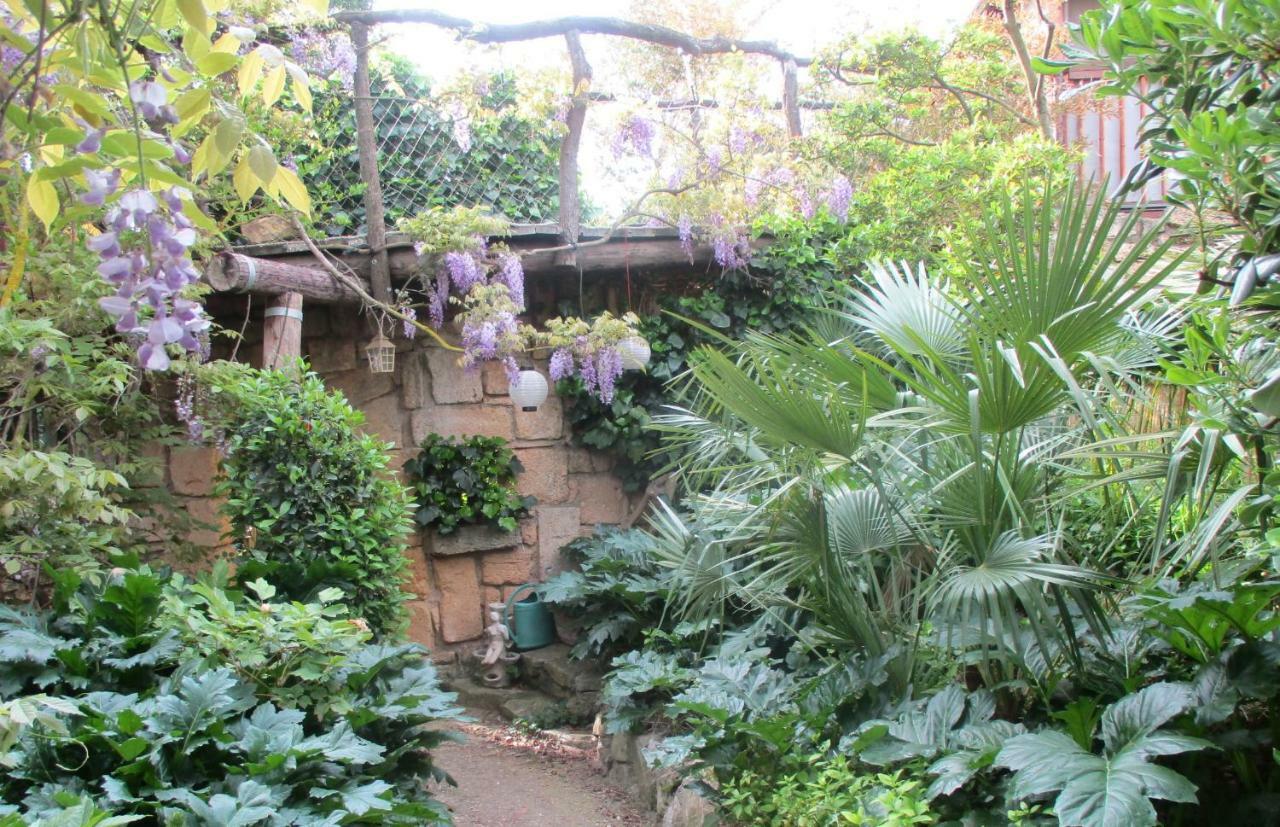 Jardin Et Bambous, Studio Cosy, Classe 2 Etoiles Marseillan  Bagian luar foto