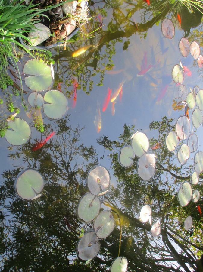 Jardin Et Bambous, Studio Cosy, Classe 2 Etoiles Marseillan  Bagian luar foto