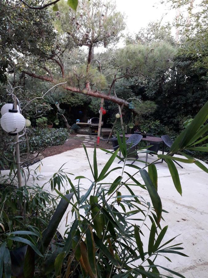 Jardin Et Bambous, Studio Cosy, Classe 2 Etoiles Marseillan  Bagian luar foto