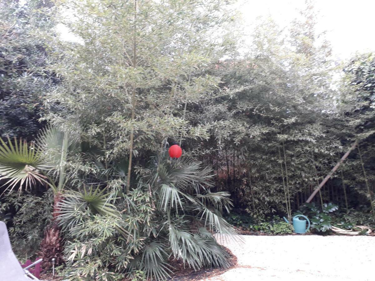 Jardin Et Bambous, Studio Cosy, Classe 2 Etoiles Marseillan  Bagian luar foto