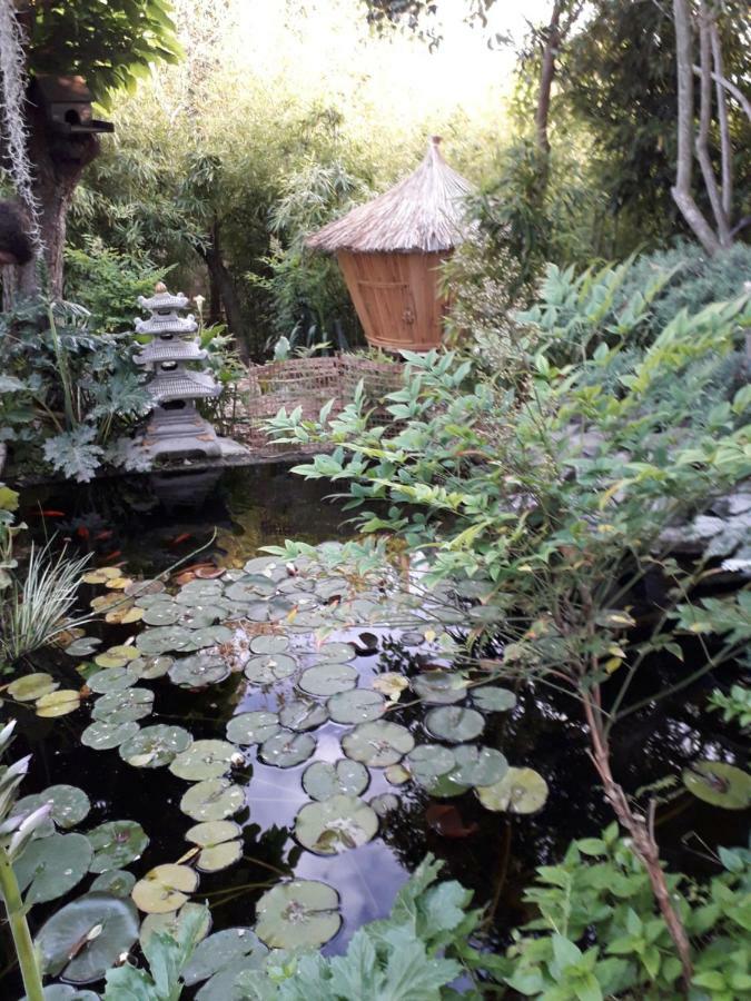 Jardin Et Bambous, Studio Cosy, Classe 2 Etoiles Marseillan  Bagian luar foto