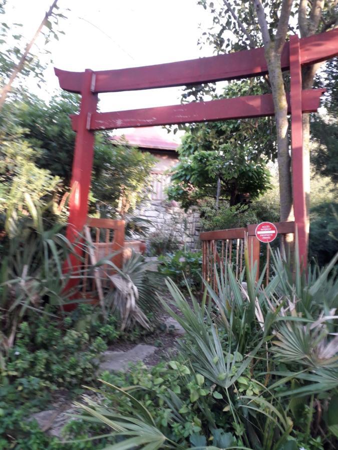 Jardin Et Bambous, Studio Cosy, Classe 2 Etoiles Marseillan  Bagian luar foto